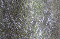 Littlewood Green fibreglass roof work